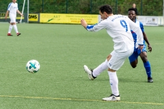DSC07447-2 - Kopie