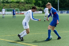 DSC07518-2 - Kopie