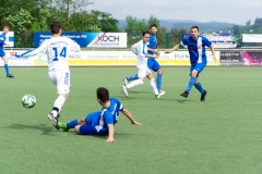 DSC07594-2 - Kopie