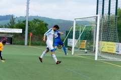 DSC07642-2 - Kopie