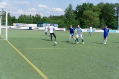 DSC07810