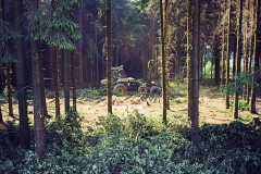 Holz-1