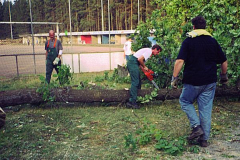 Holz-6