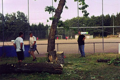Holz-7