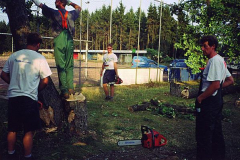 Holz-8