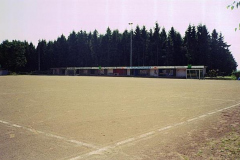 Rote-Asche-5