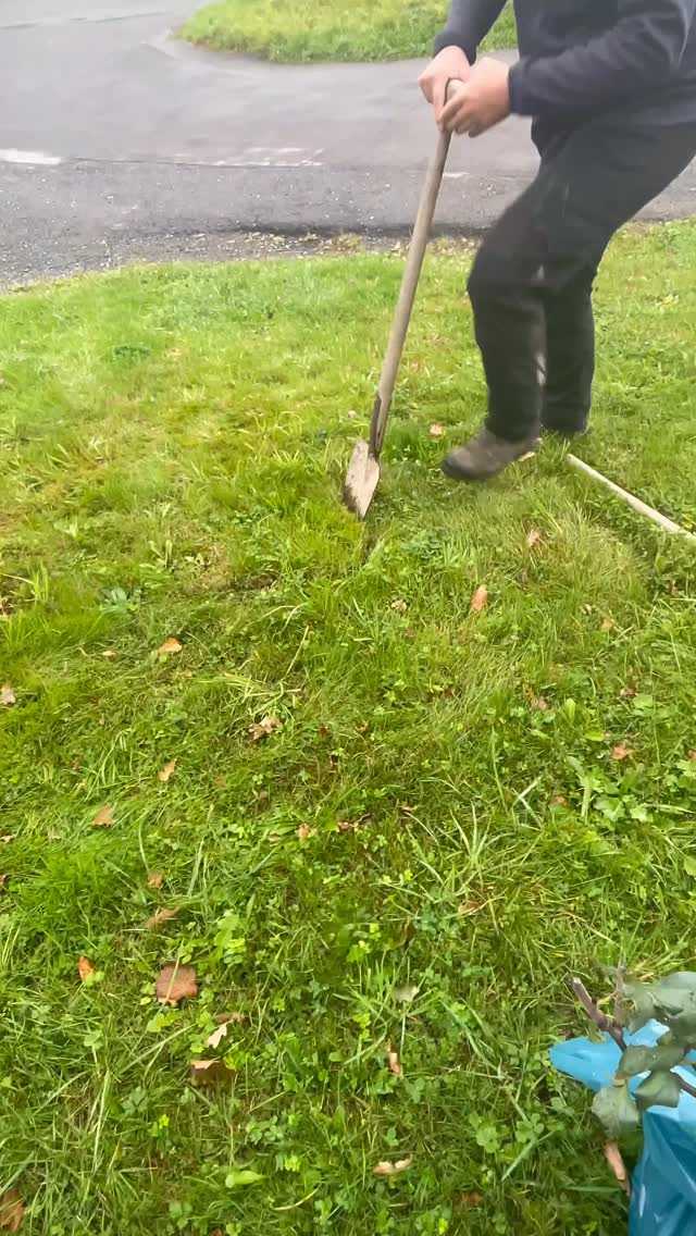 Challenge accepted 🌳🫡

Vielen Dank @hufnagel_service und @jungschuetzen_rublinghausen_ für die Nominierung! Wir nominieren unsere JSG Vereine @spvg.iseringhausen1982 und @sg_luetringhausenoberveischede ⚽️ 

#vfr1909 #rüblinghausen #blauundweiss #birkendrust